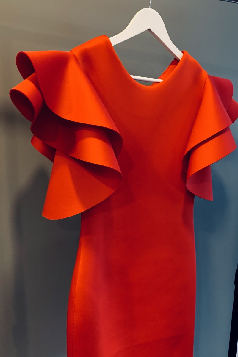 "Wings" dress – photo 6