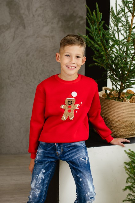 Boy's red Christmas jumper with gingerbread