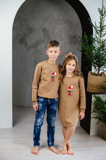 Boy's brown Christmas jumper with gingerbread or a reindeer