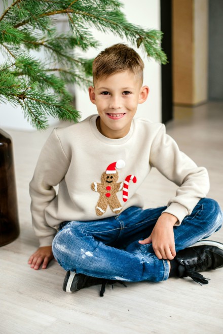 Boy's sand Christmas jumper with gingerbread