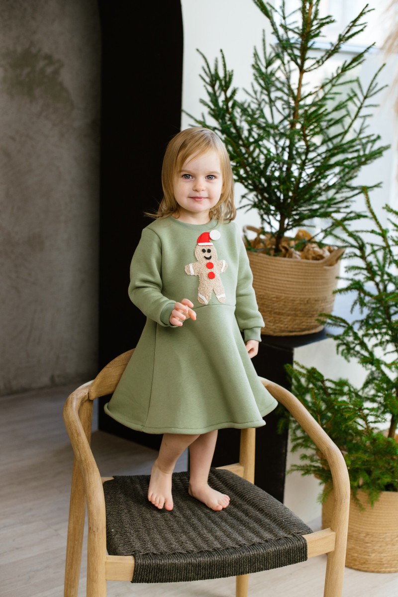 Girl's pale green puffy dress with gingerbread