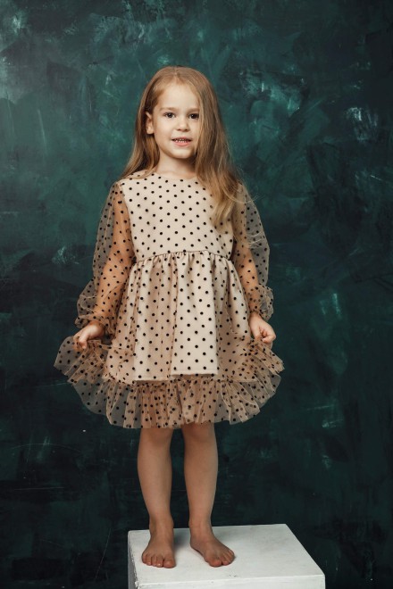 Girl's elegant tulle dress